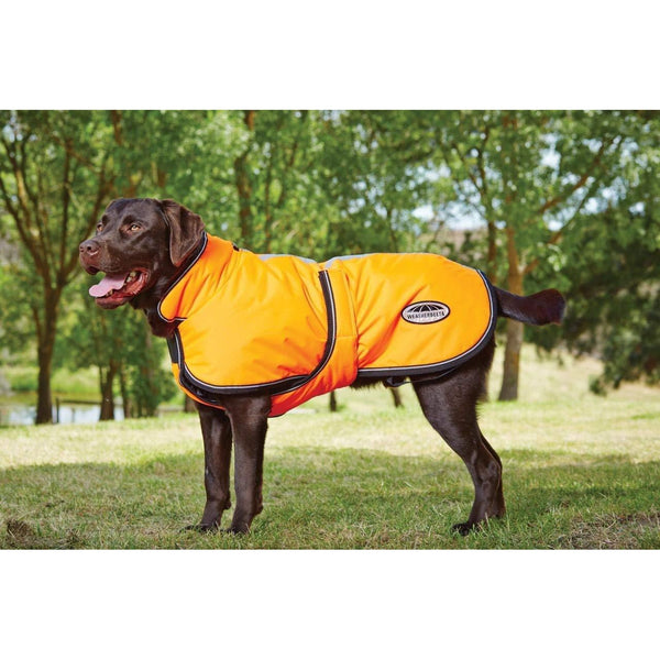 WeatherBeeta Reflective Parka with Belly Wrap 300D Dog Coat (Orange)